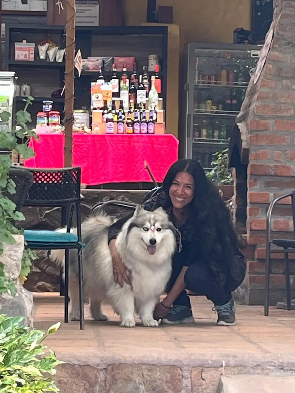 Trae a tu amigo de cuatro patas y disfruten juntos de un ambiente acogedor