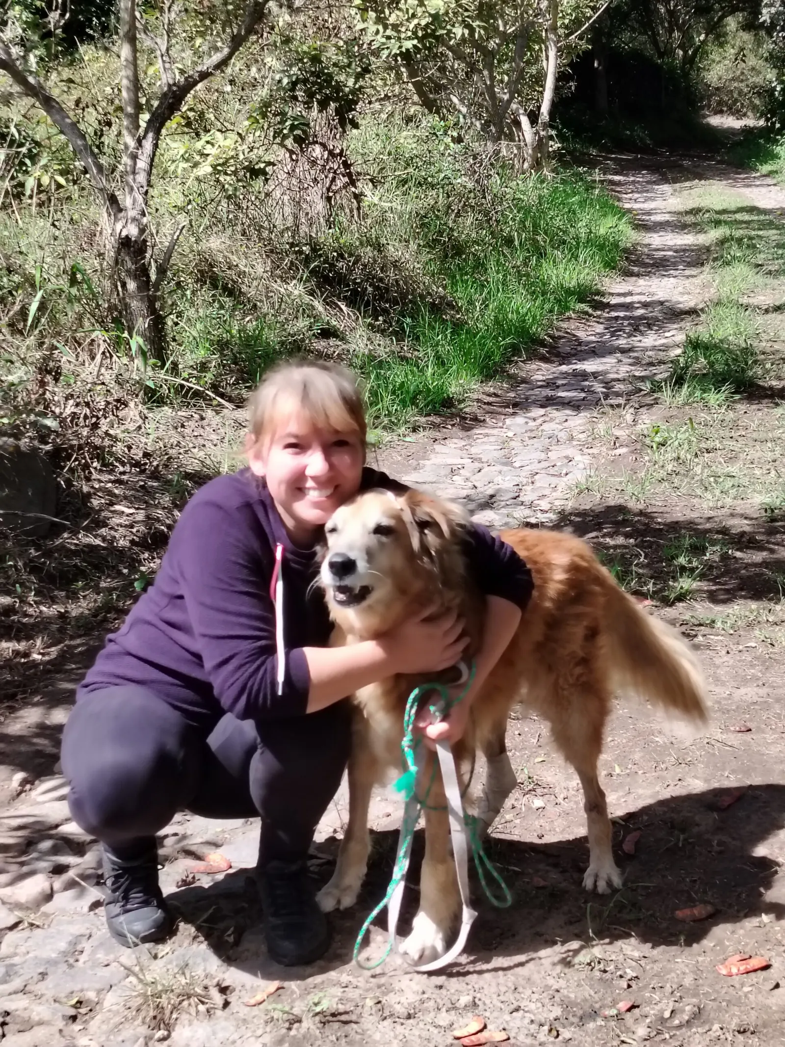 Trae a tu amigo de cuatro patas y disfruten juntos de un ambiente acogedor