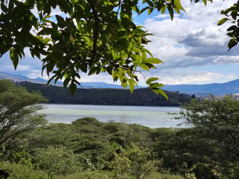 Cabañas Ibarra Ecuador